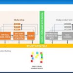 Transforming the clinical data management process with Agile_2