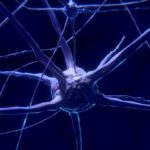 NeuExcell and Spark partner to develop gene therapy for Huntingtons Disease