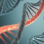 MTHFR Gene Mutation Symptoms-testing and Treatment