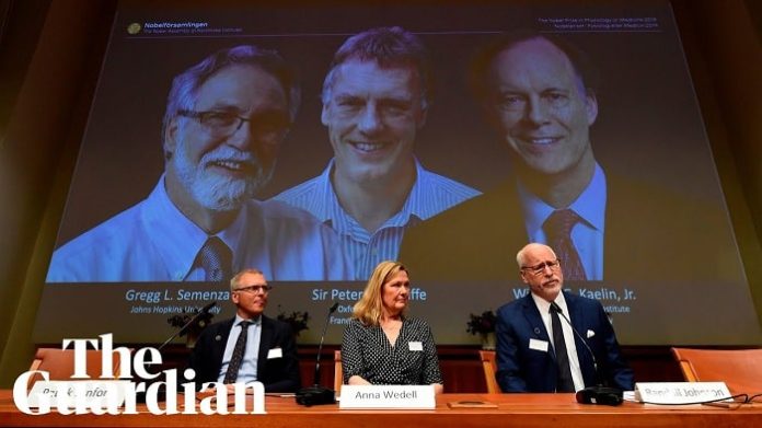 2019 Nobel Prize winners in physiology or medicine announced